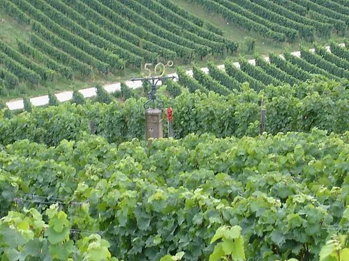Geisenheim
